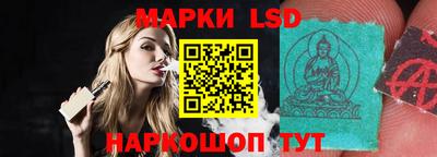 шишки Славгород