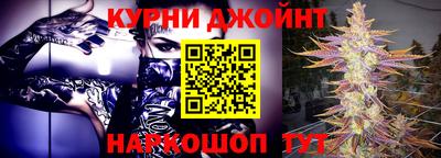 трава Сланцы
