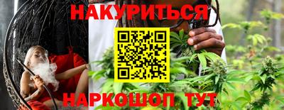 трава Сланцы