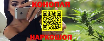 шишки Славгород