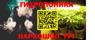 трава Сланцы