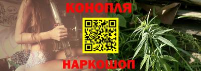 трава Сланцы