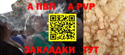 шишки Славгород