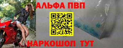 шишки Славгород