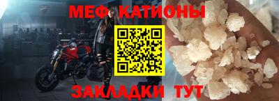 трава Сланцы