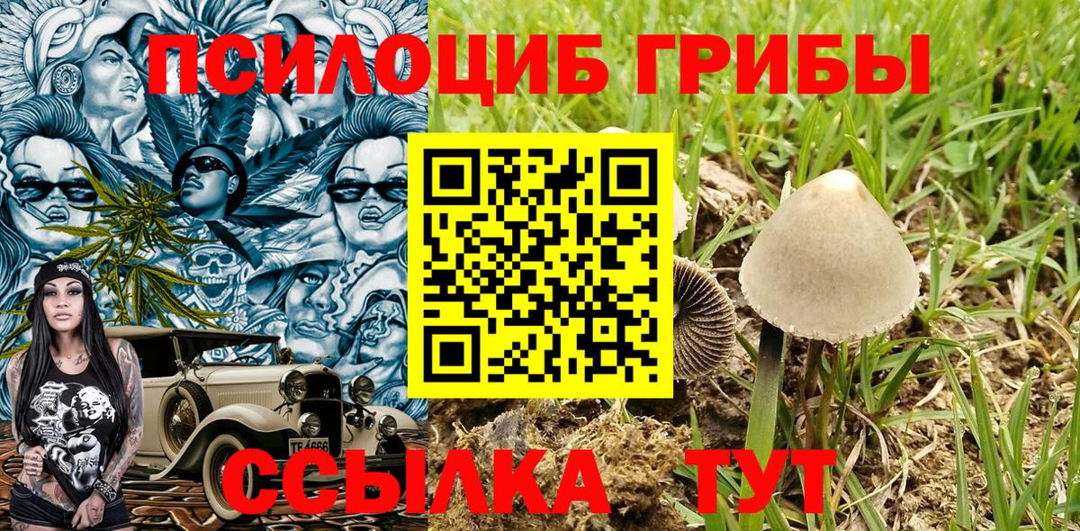 Псилоцибиновые грибы GOLDEN TEACHER  Вход с VPN  хочу   Орёл 